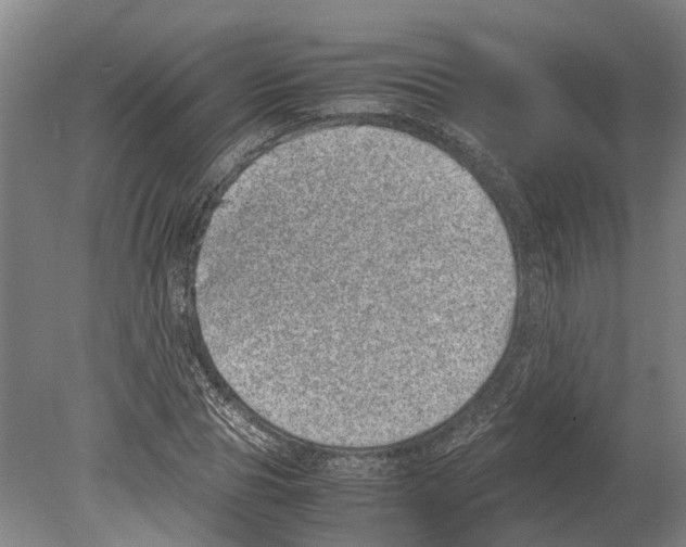 X0000080190929200701051719