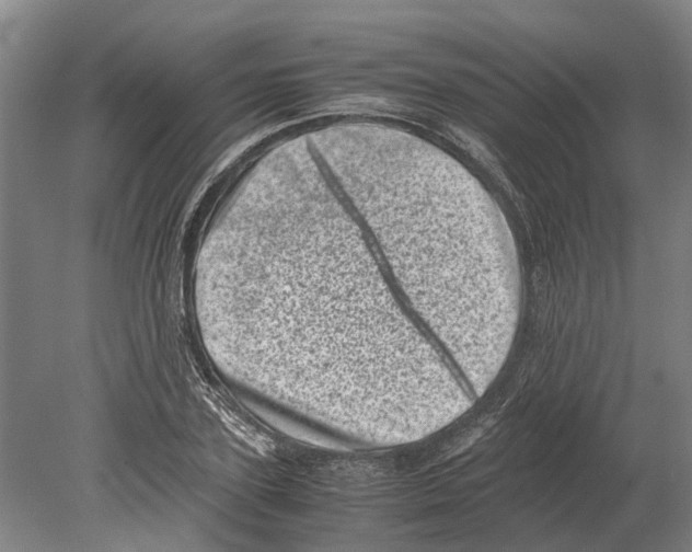 X0000080190931200701051719