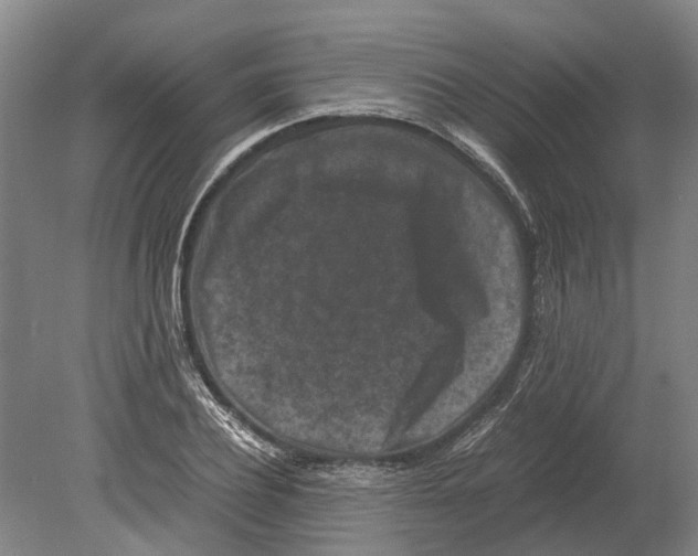 X0000080190932200701051719