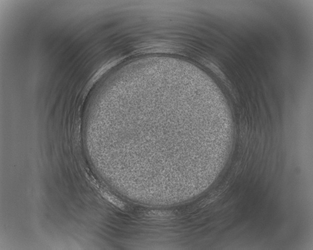 X0000080190933200701051719