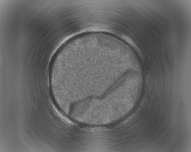 X0000080190934200701051719