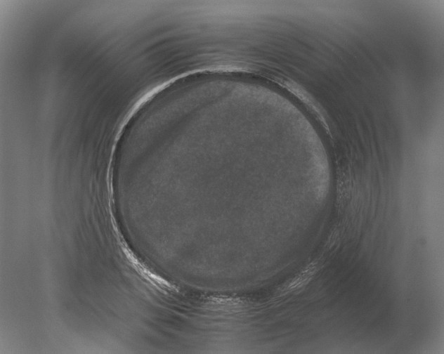 X0000080190935200701051719