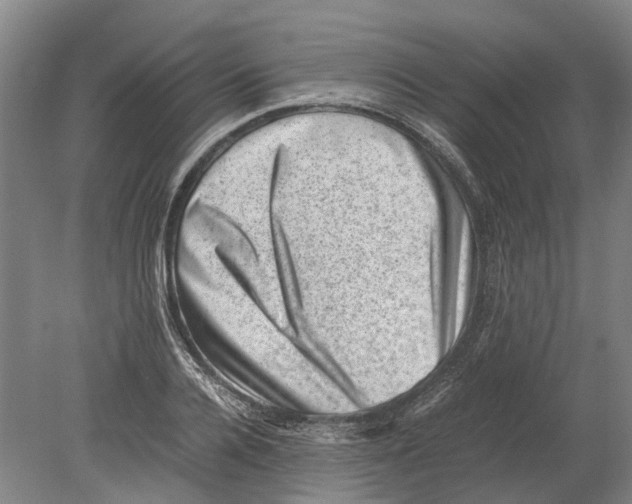 X0000080190936200701051719