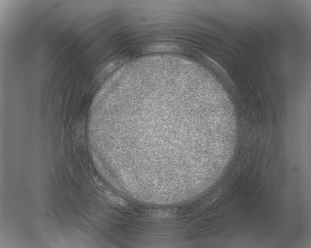 X0000080190937200701051719