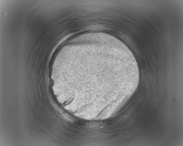 X0000080190939200701051719