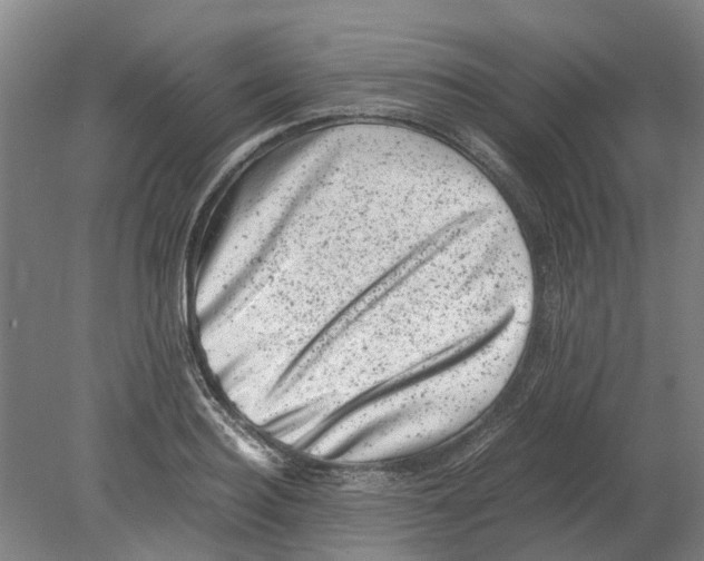 X0000080190940200701051719