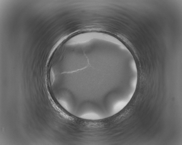 X0000080190941200701051719