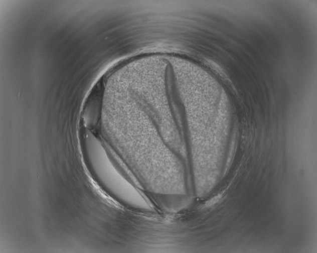 X0000080190942200701051719