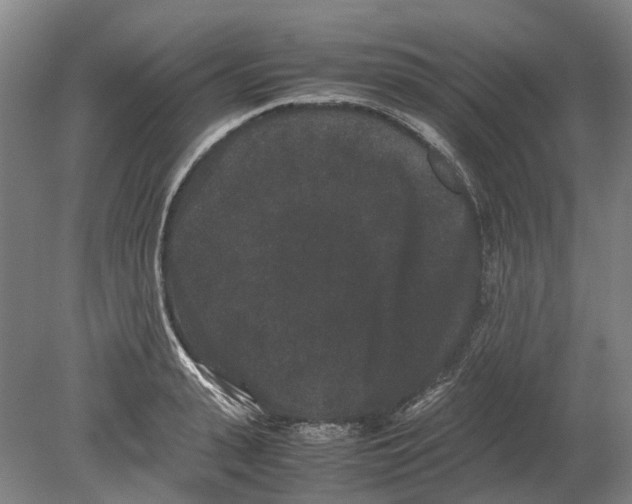 X0000080190943200701051719