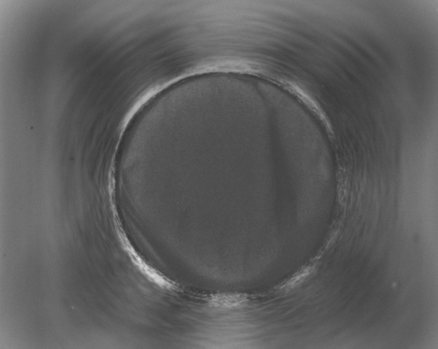 X0000080190944200701051719