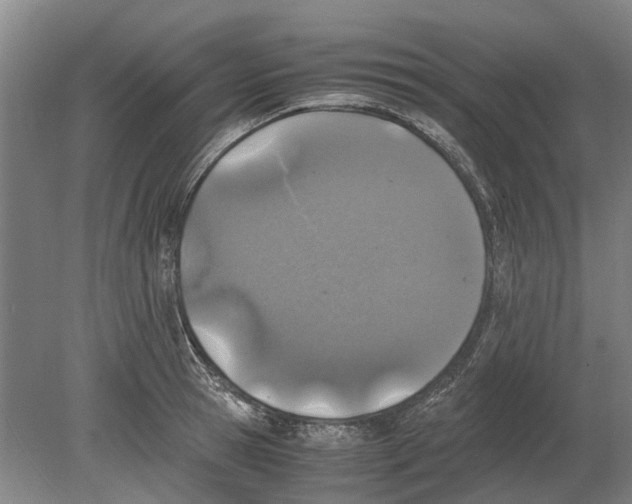 X0000080190945200701051719