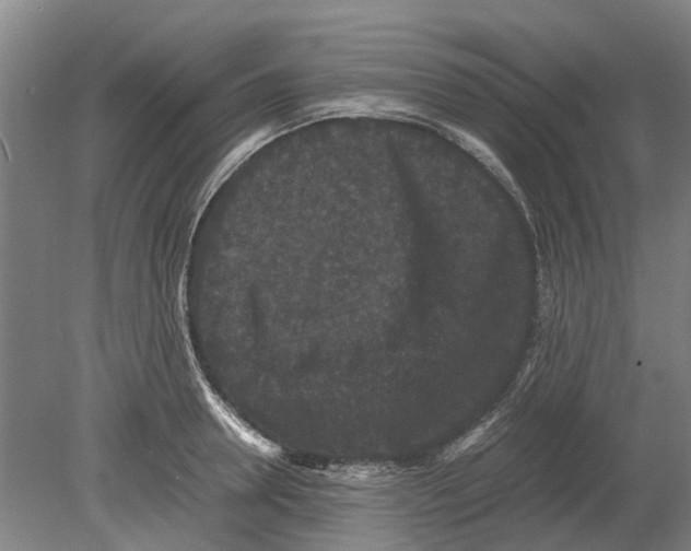 X0000080190946200701051719