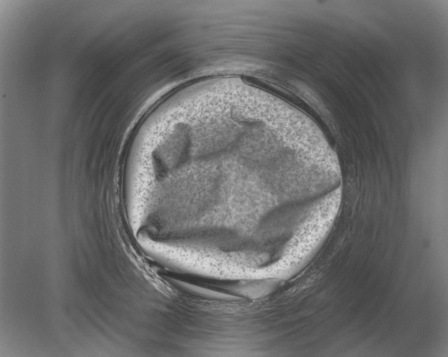 X0000080190948200701051719