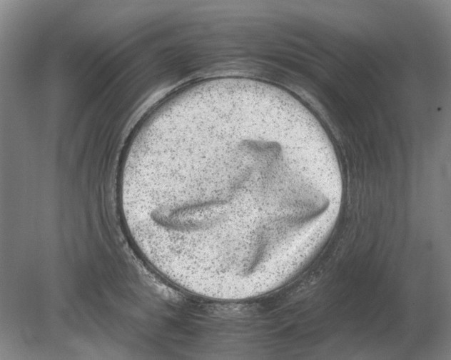 X0000080190949200701051719