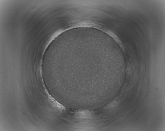 X0000080190950200701051719