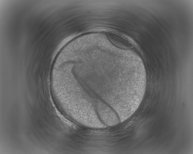 X0000080190951200701051719