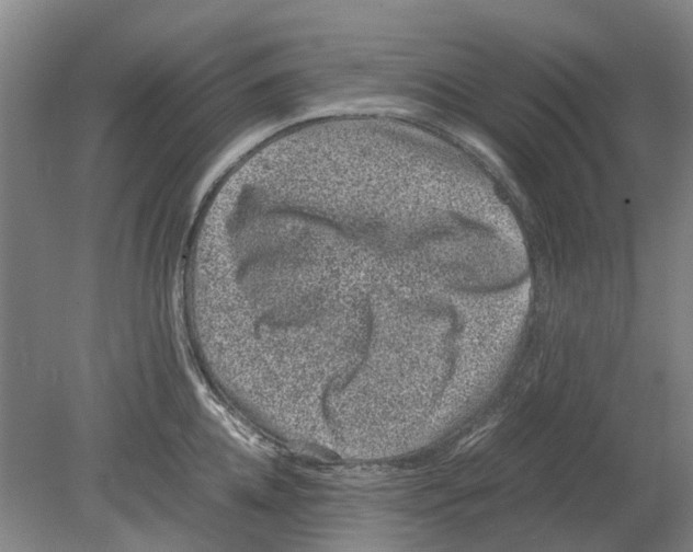 X0000080190952200701051719