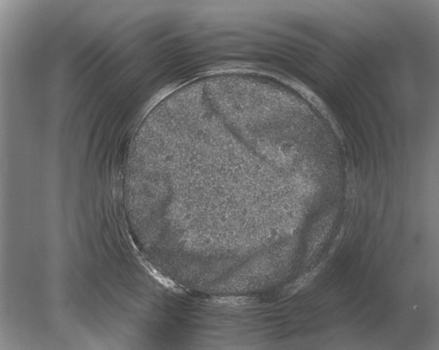 X0000080190953200701051719