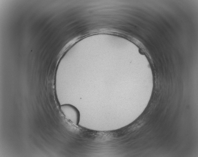 X0000080190954200701051719