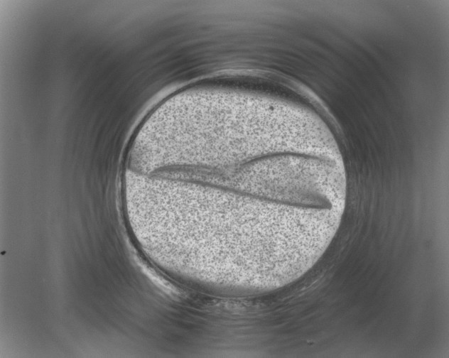 X0000080190955200701051719