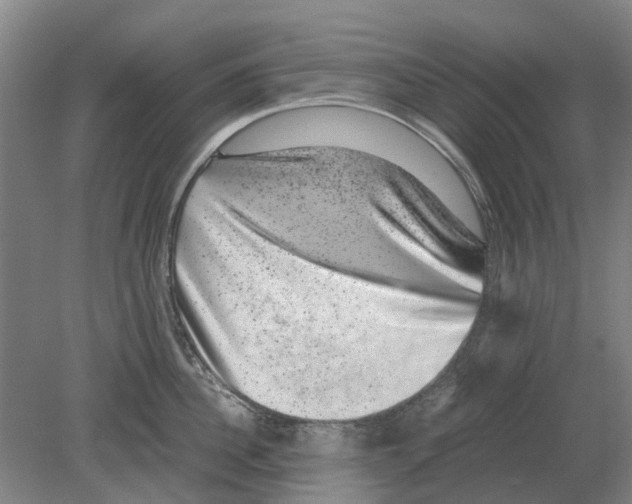 X0000080190956200701051719