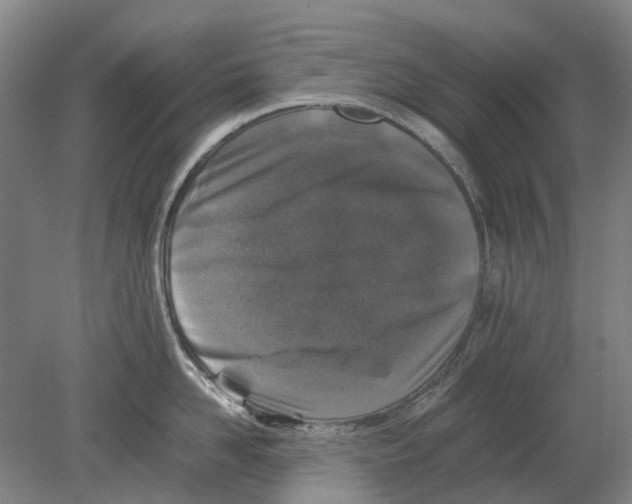 X0000080190958200701051719