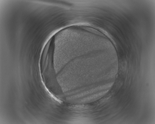 X0000080190959200701051719