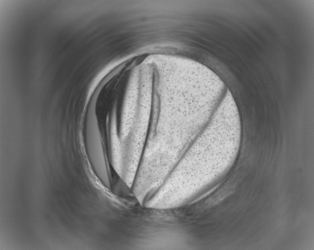 X0000080190960200701051719