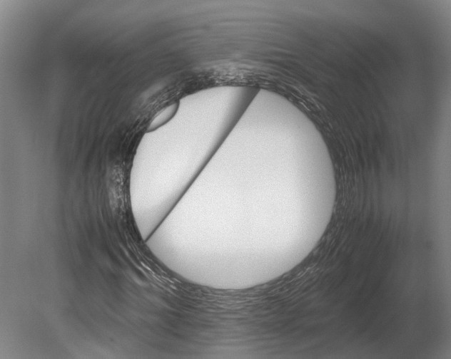 X0000080190964200701051719