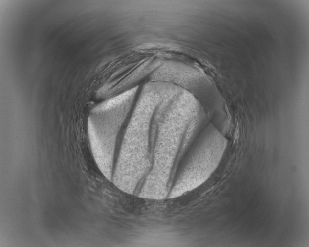 X0000080190965200701051719