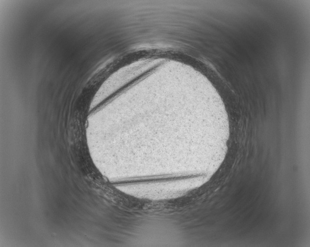 X0000080190967200701051719