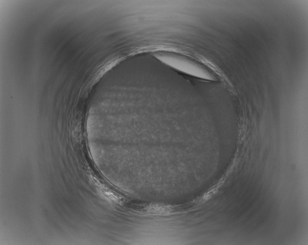 X0000080190977200701051718