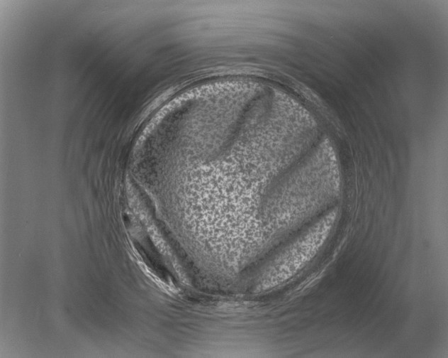 X0000080190985200701051718