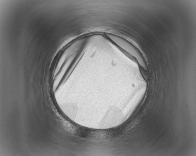 X0000080190991200701051718