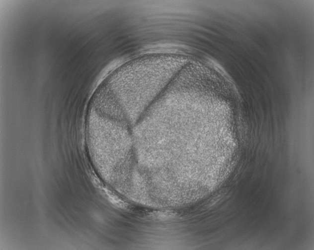 X0000080190994200701051718