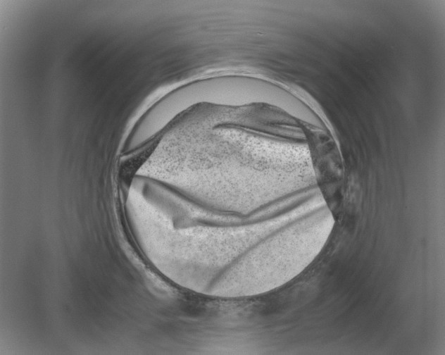 X0000080191005200701051718