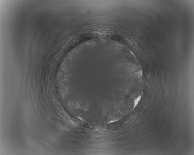 X0000080191009200701051717