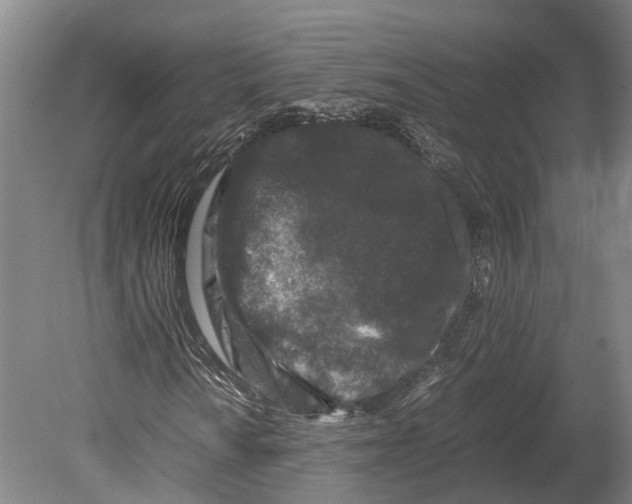 X0000080191010200701051717