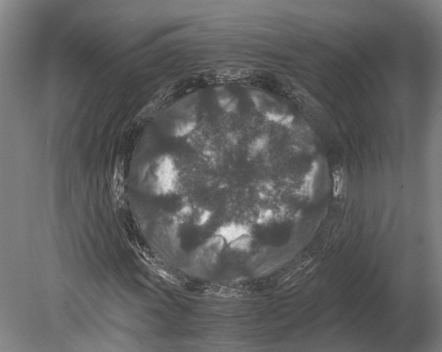 X0000080191011200701051717