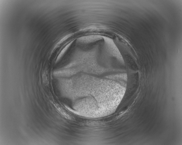 X0000080191018200701051717
