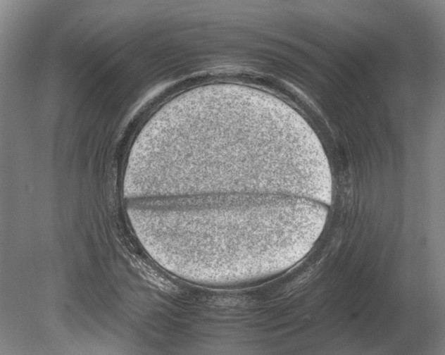 X0000080191021200701051717