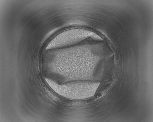 X0000080191022200701051717