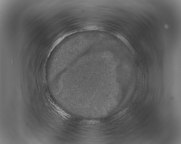 X0000080191023200701051717
