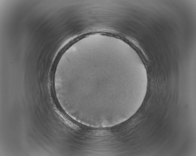 X0000080191024200701051717
