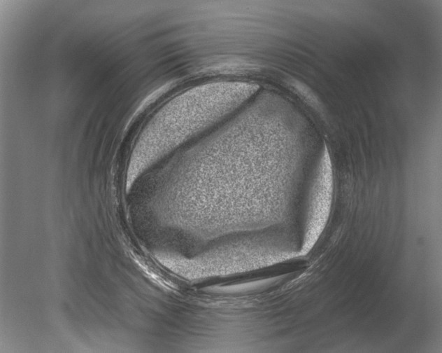 X0000080191026200701051717