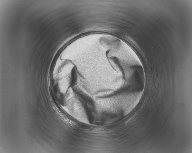 X0000080191028200701051717
