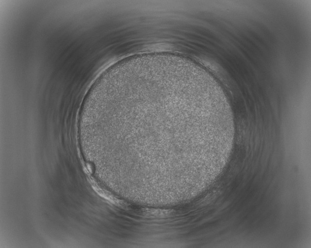 X0000080191039200701051718