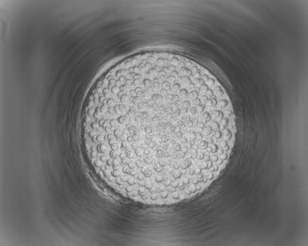 X0000080191044200701051718