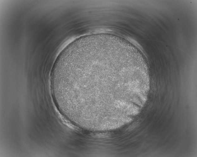 X0000080191047200701051718