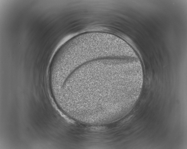 X0000080191053200701051718